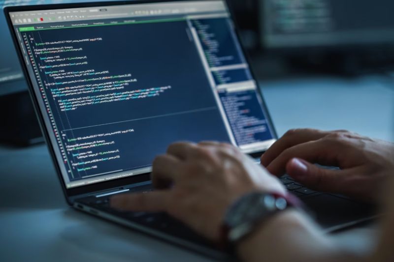 临沂软件定制开发公司：Python助力，构建核心竞争力